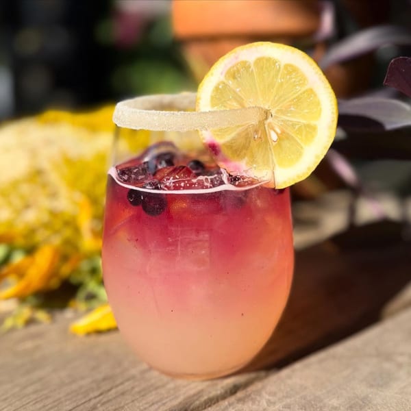 A vibrant pink and orange cocktail with blueberries, a sugared rim, and a lemon slice.