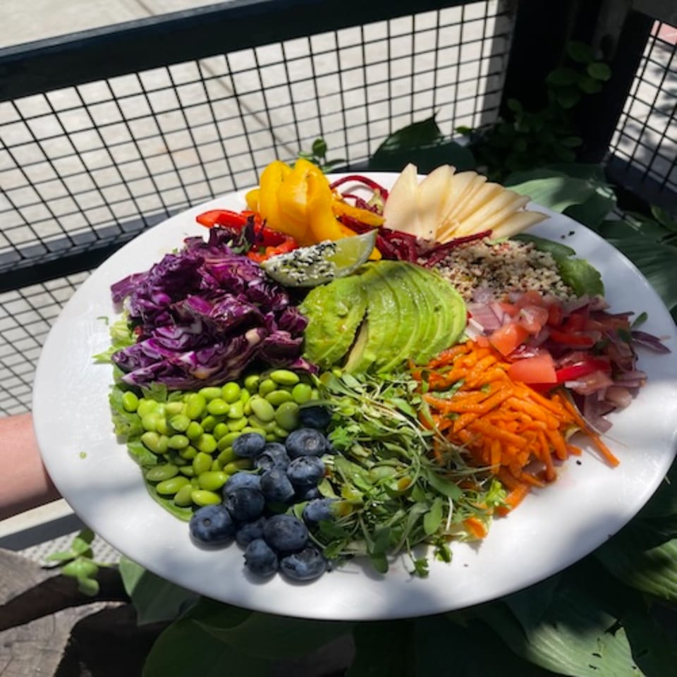 Colorful salad plate with avocado, purple cabbage, edamame, blueberries, carrots, greens, quinoa, fruit, and lime wedge outdoors.